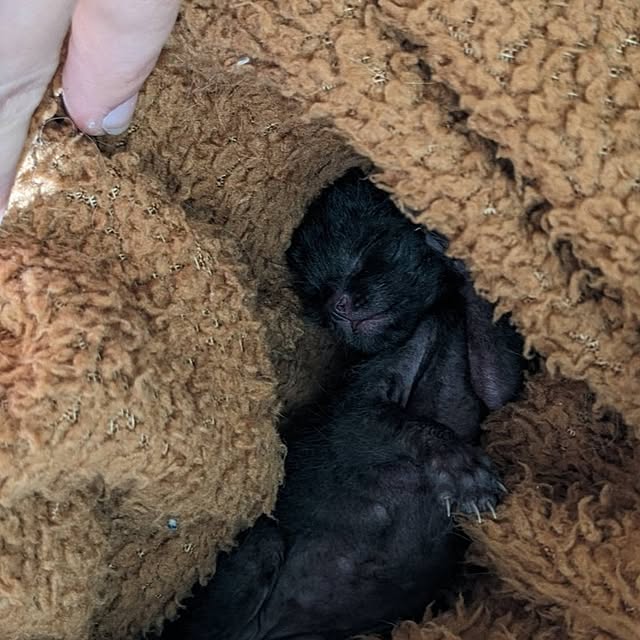 ciiiさんの実例写真