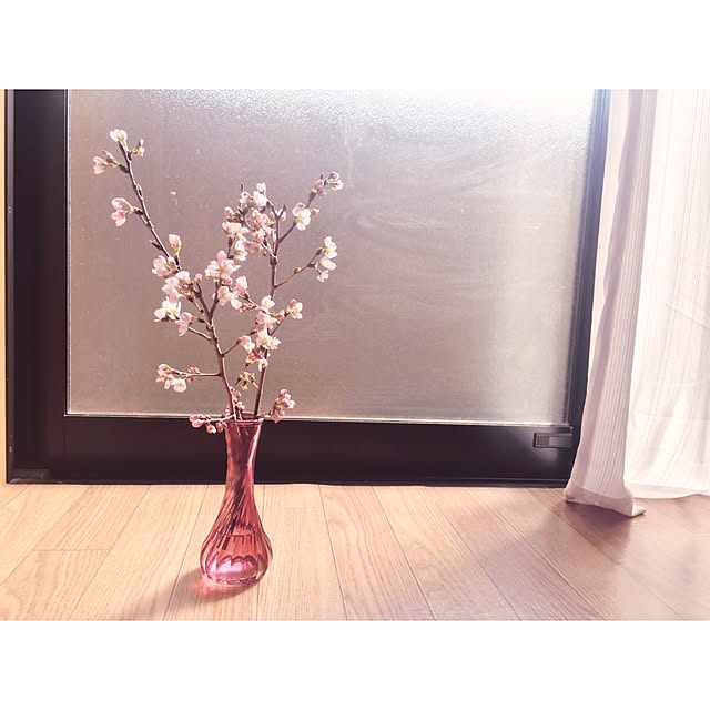 miho123さんの実例写真