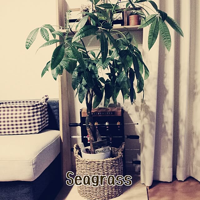 masarinn.さんの実例写真