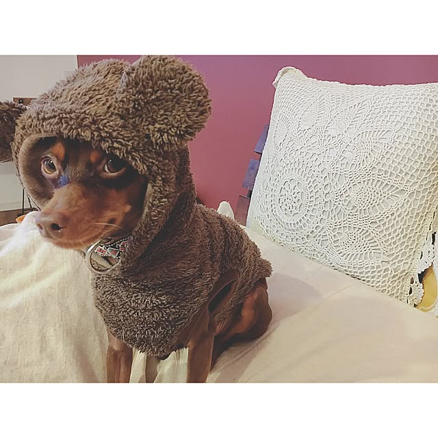 Reiyaさんの実例写真