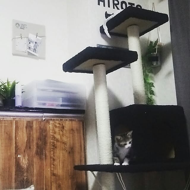 yuuさんの実例写真