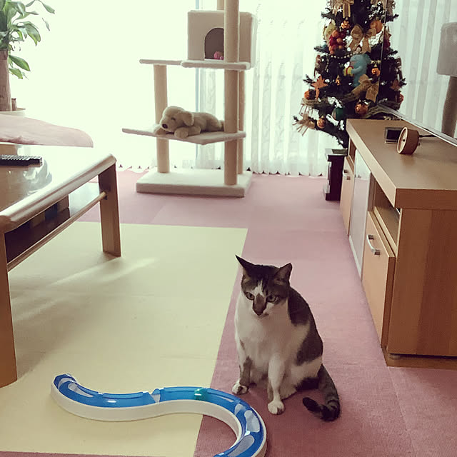 haruminさんの実例写真