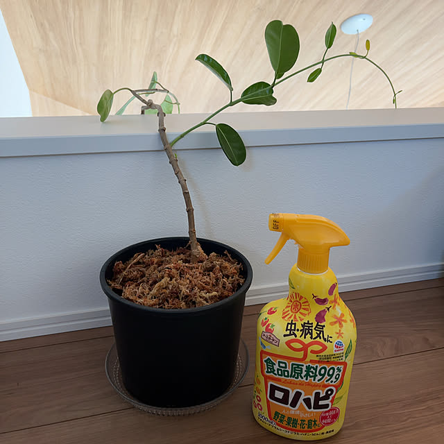 maaLさんの実例写真