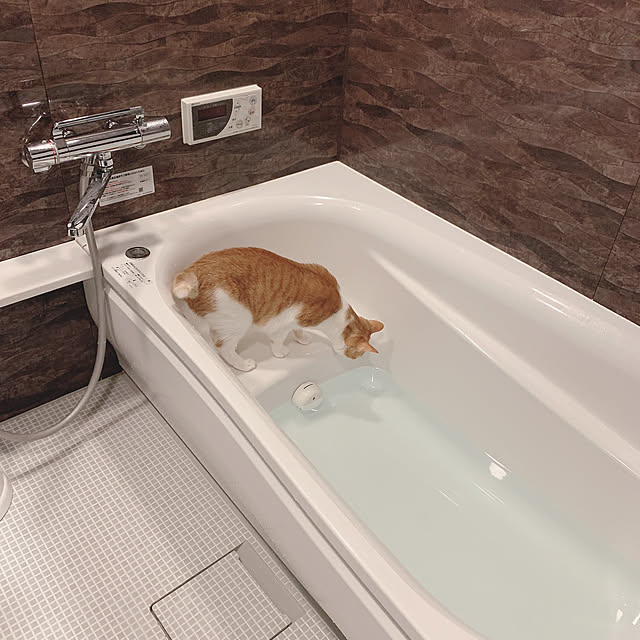 Tomoeさんの実例写真