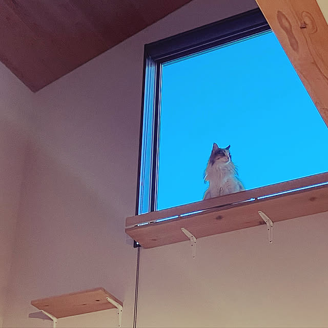 mimi2mamaさんの実例写真