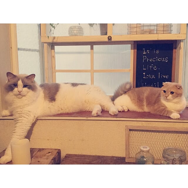 runtenさんの実例写真