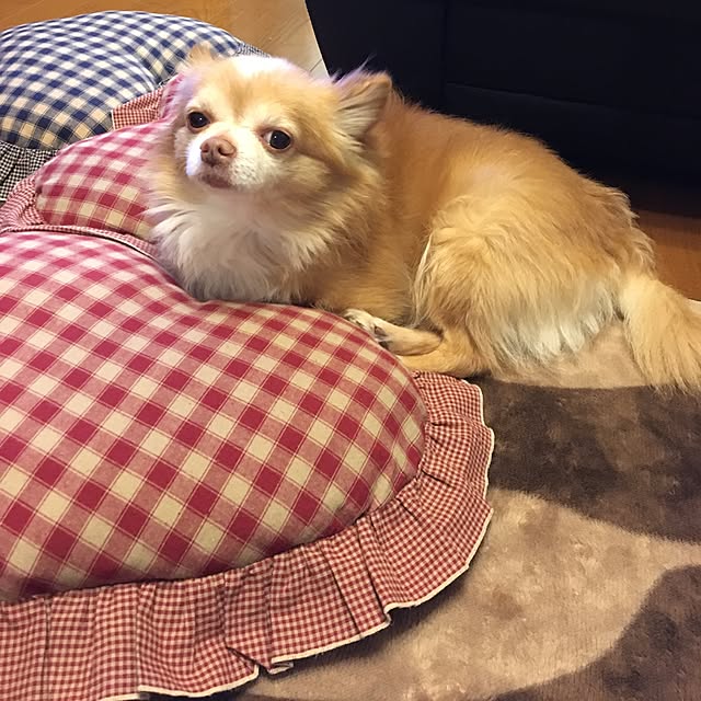 yukoさんの実例写真