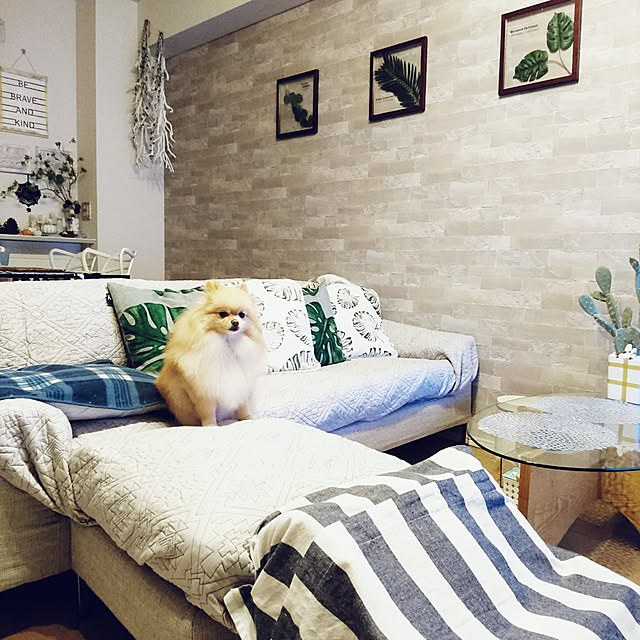 maikeru.3384さんの実例写真