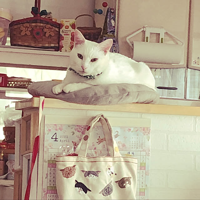 moyuhiさんの実例写真