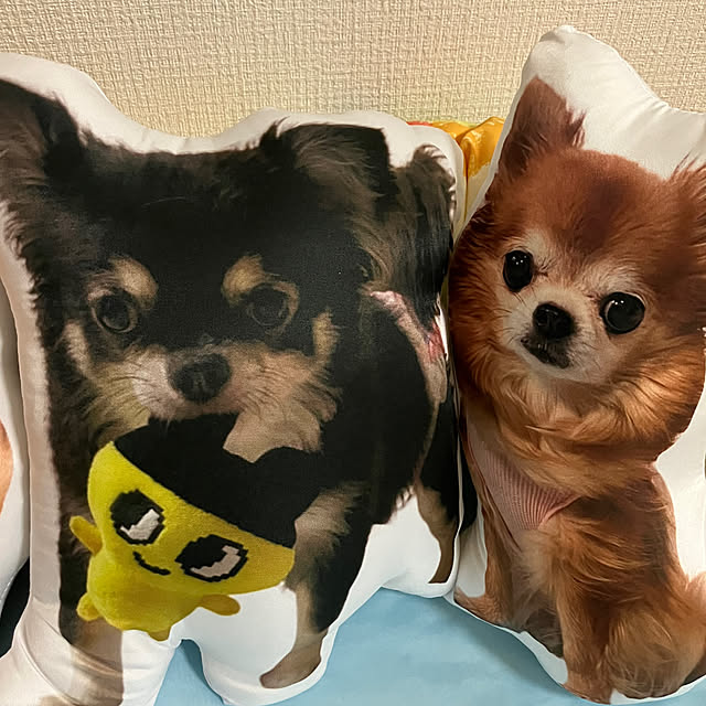koroさんの部屋