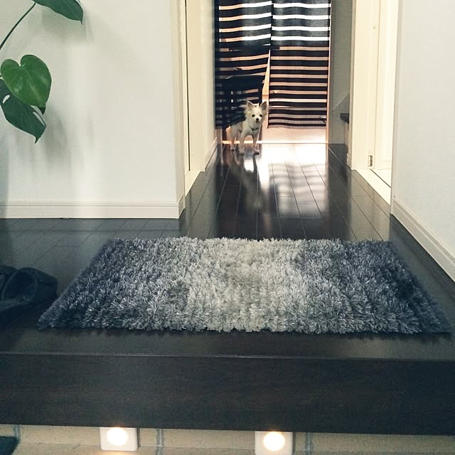 _rm_さんの実例写真