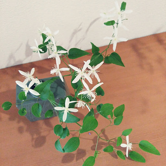 Green-appleさんの実例写真