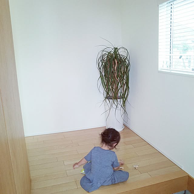 sa-さんの実例写真