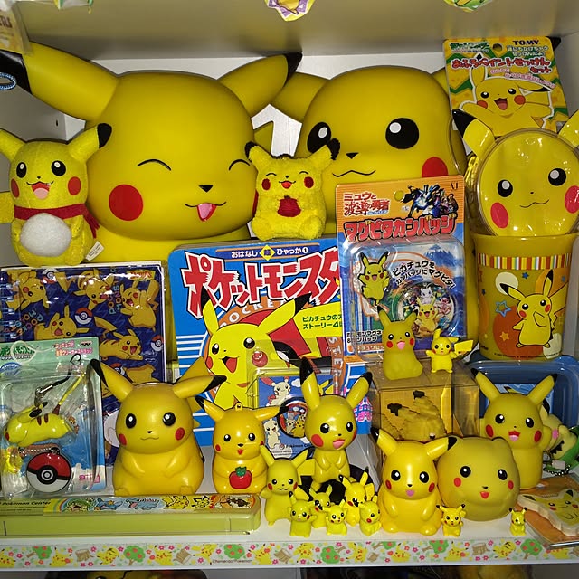 pikachu25voltさんの実例写真