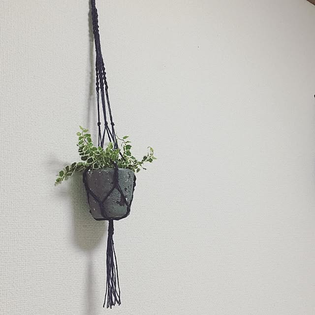 k_la_aさんの実例写真