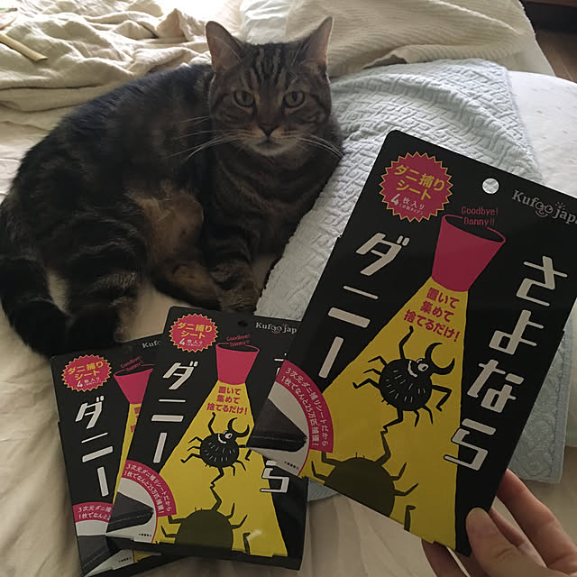 mikomaruさんの実例写真