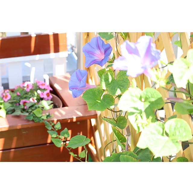 ISM.mumさんの実例写真