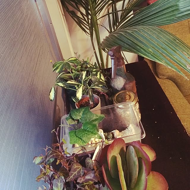 moguさんの実例写真