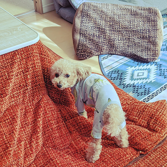 HIROMINさんの実例写真