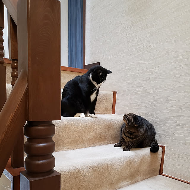 Mayumi8888さんの実例写真