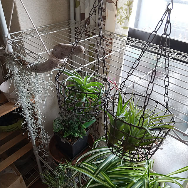 REI.DIYさんの実例写真
