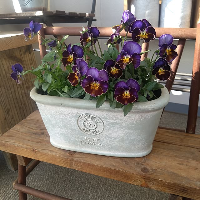 Petit_Pommierさんの実例写真