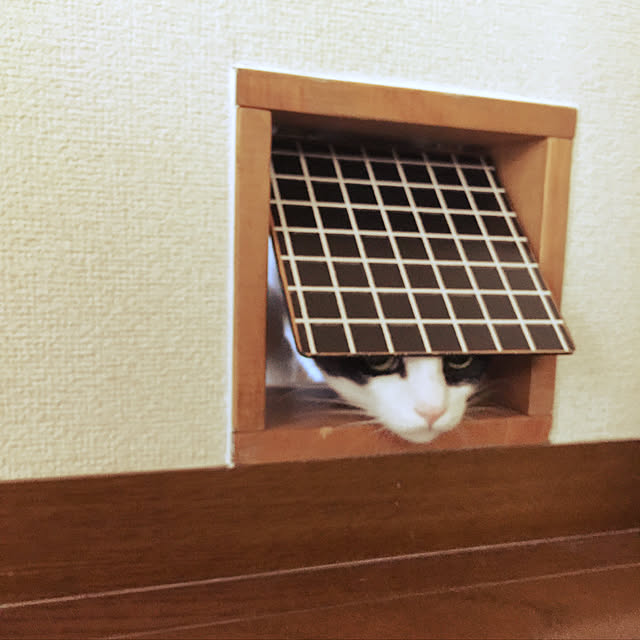 nisannisan39さんの実例写真