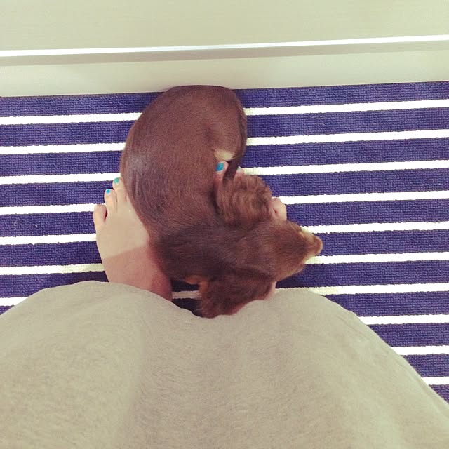 ivufuuさんの実例写真