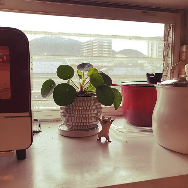 kou-kitiさんの実例写真