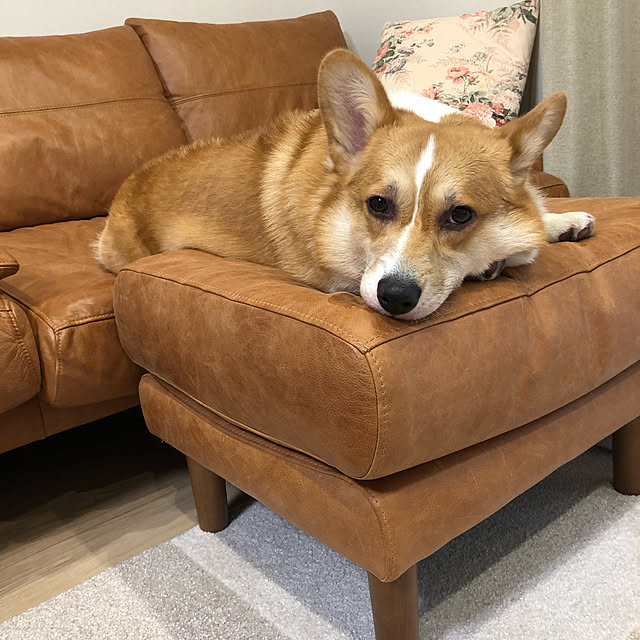 Sawaさんの実例写真
