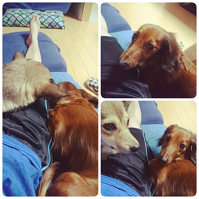 andさんの実例写真