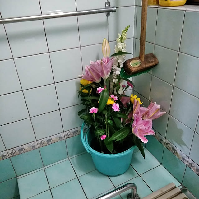 matyanさんの実例写真
