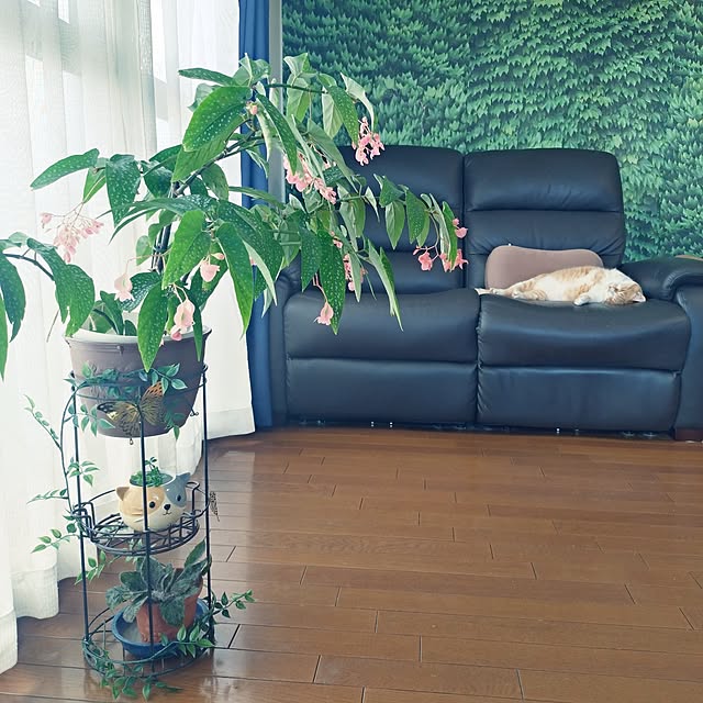 NOAHさんの実例写真