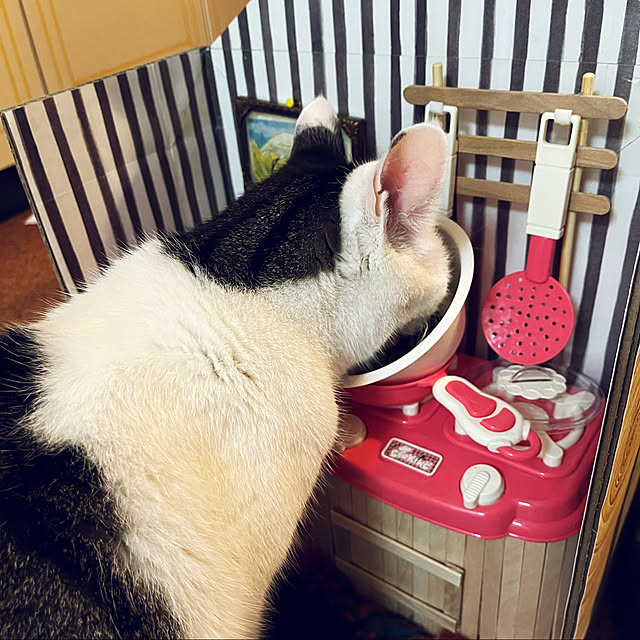 usacoさんの実例写真