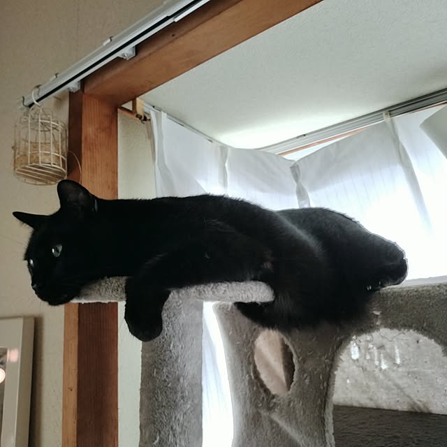 Tさんの実例写真