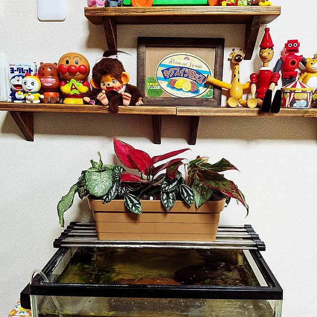 umeboshicyanさんの実例写真