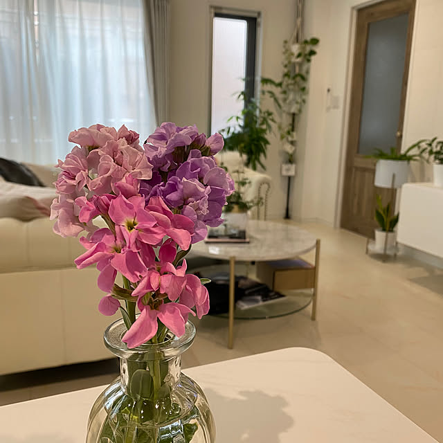 ChitoseImanishiさんの実例写真