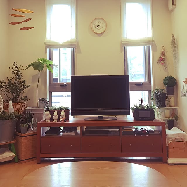 nochikoさんの実例写真
