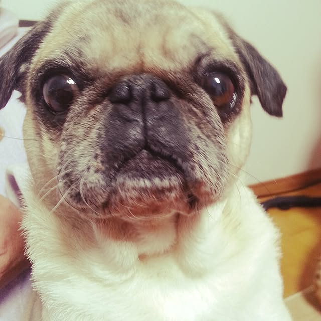 me-miさんの実例写真