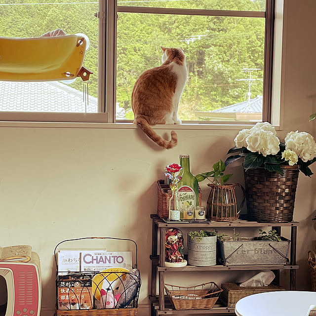 Toyomiさんの実例写真