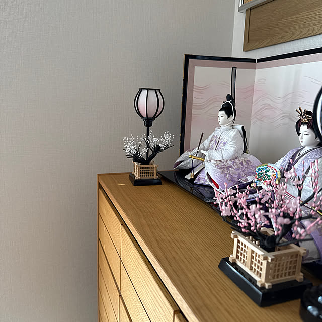 k_dinoさんの実例写真