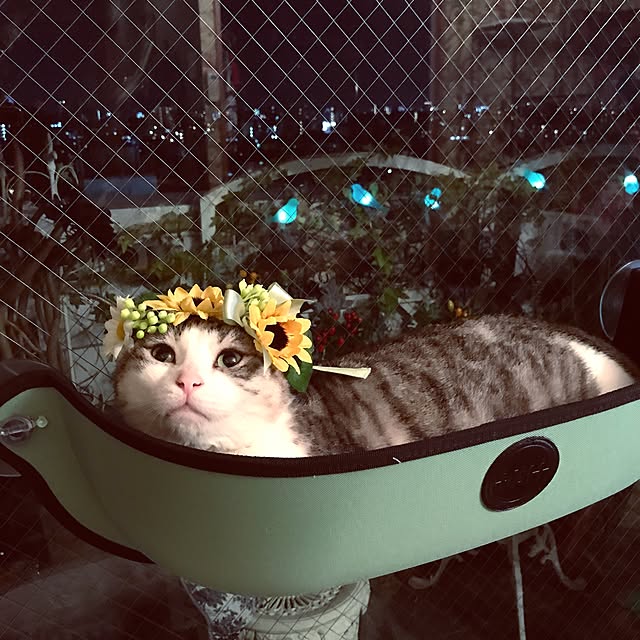 emmyyさんの実例写真