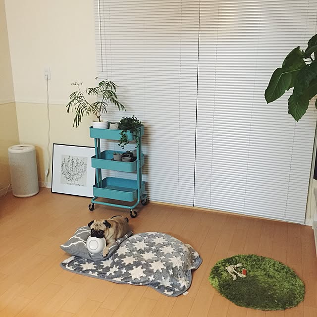 YUIさんの実例写真