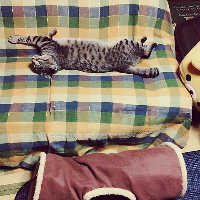 ema_panさんの実例写真