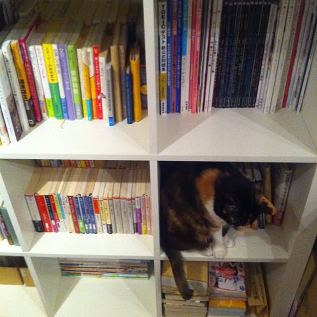 Rieさんの実例写真