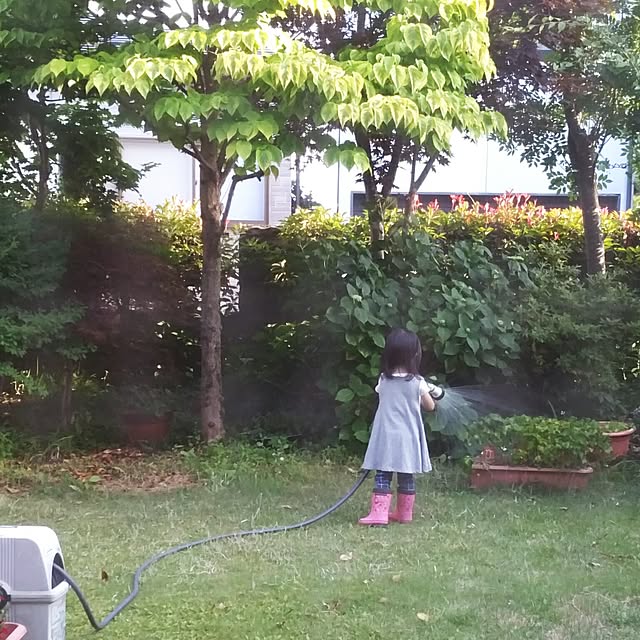 sacchiさんの実例写真