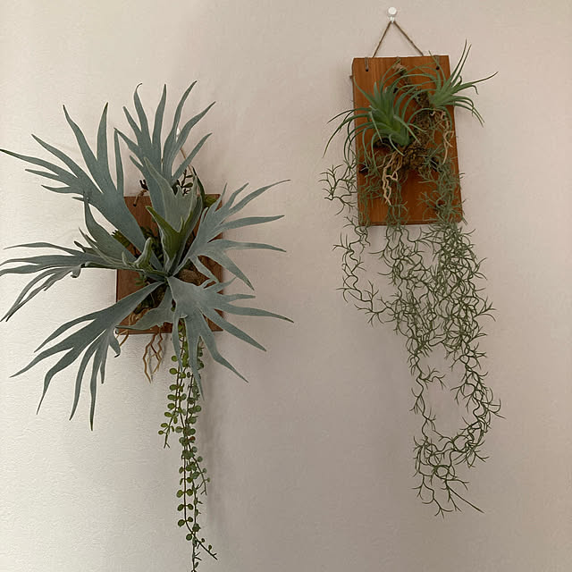 naonaoさんの実例写真