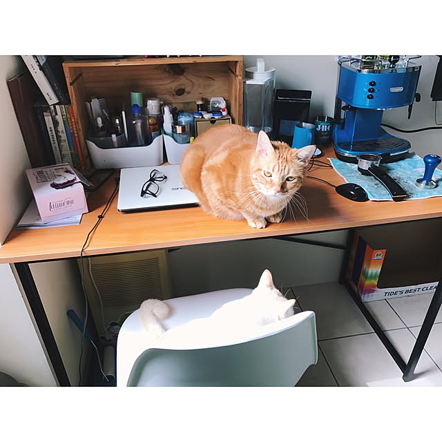 Meowdiさんの実例写真