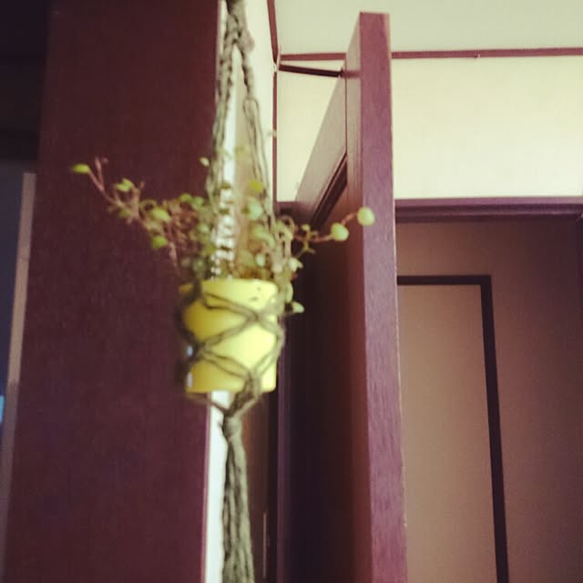 sym.さんの実例写真