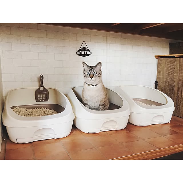 ineko_kさんの実例写真